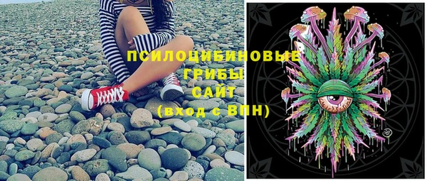 Альфа ПВП Арсеньев