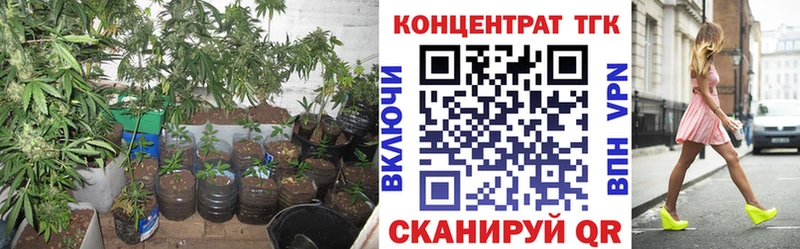 ТГК концентрат Талдом