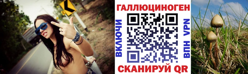 купить закладку  Талдом  Псилоцибиновые грибы Psilocybine cubensis 